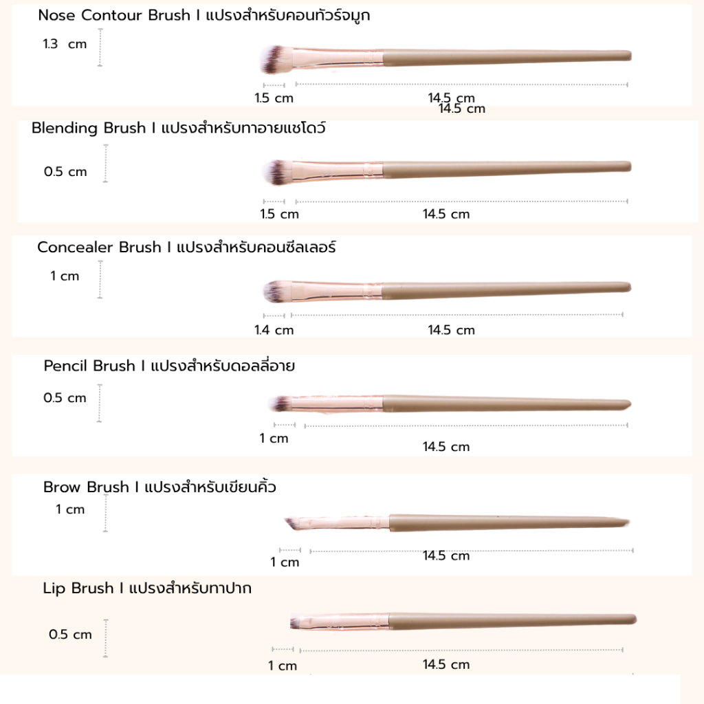 รูปภาพ 8