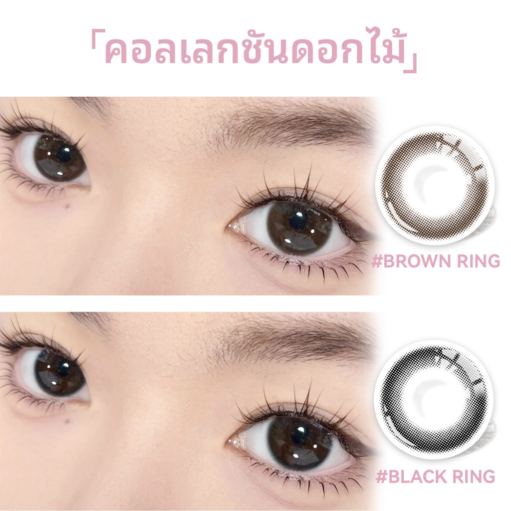 0.00~-8.00 Midroo คอนแทคเลนส์ Natural Choc คอนเทคเลนส์มินิ ด้วยองศา 14.0mm