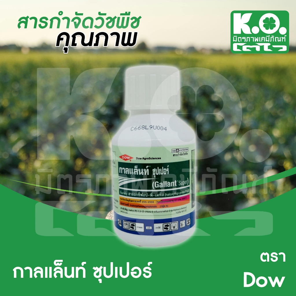 กาลแลนท์ ซุปเปอร์ 100 ซีซี บริษัท Dow Agrosciences(ดาว อะโกรไซเอนซ์)   กลิ่นไม่แรง