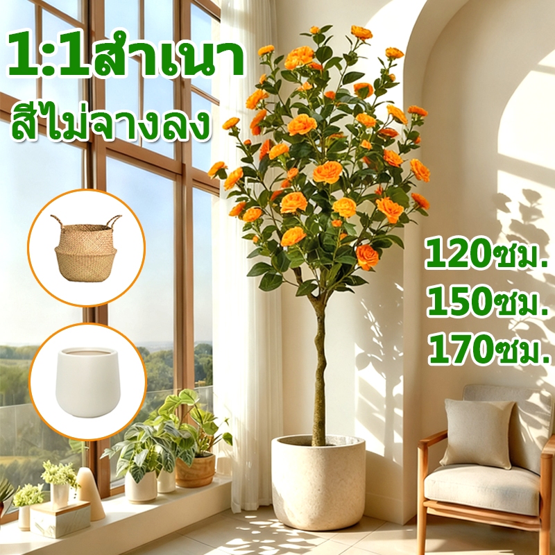 ความจำลอง99% ต้นไม้ปลอม ดอกคาเมลเลีย พืชประดิษฐ์ ไร้ฟอร์มาลดีไฮด์ ไร้กลิ่น 120/150/170cm สไตล์นอร์ดิก การตกแต่งภายในห้อง