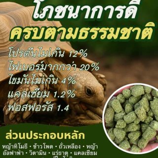 อารหารเต่าบก King Turtle ยกกระสอบ แบบคุ้มสุดๆ