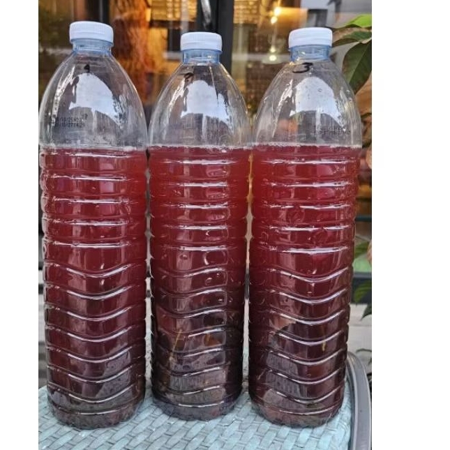 น้ำหมักใบทองหลางน้ำสูตร1(Rhodobacter Capsulatus)หัวเชื้อน้ำหมักใบทองหลางน้ำก้านแดงมีหนามปริมาตร 1ลิตร - รูปที่ 5