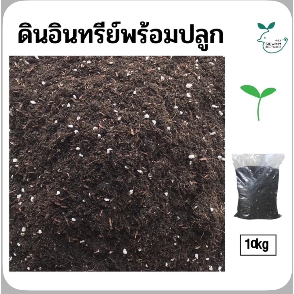 ดินอินทรีย์พร้อมปลูก 10kg