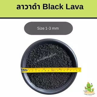 หินลาวาดำ (BLACK LAVA) 3กิโล 5กิโล