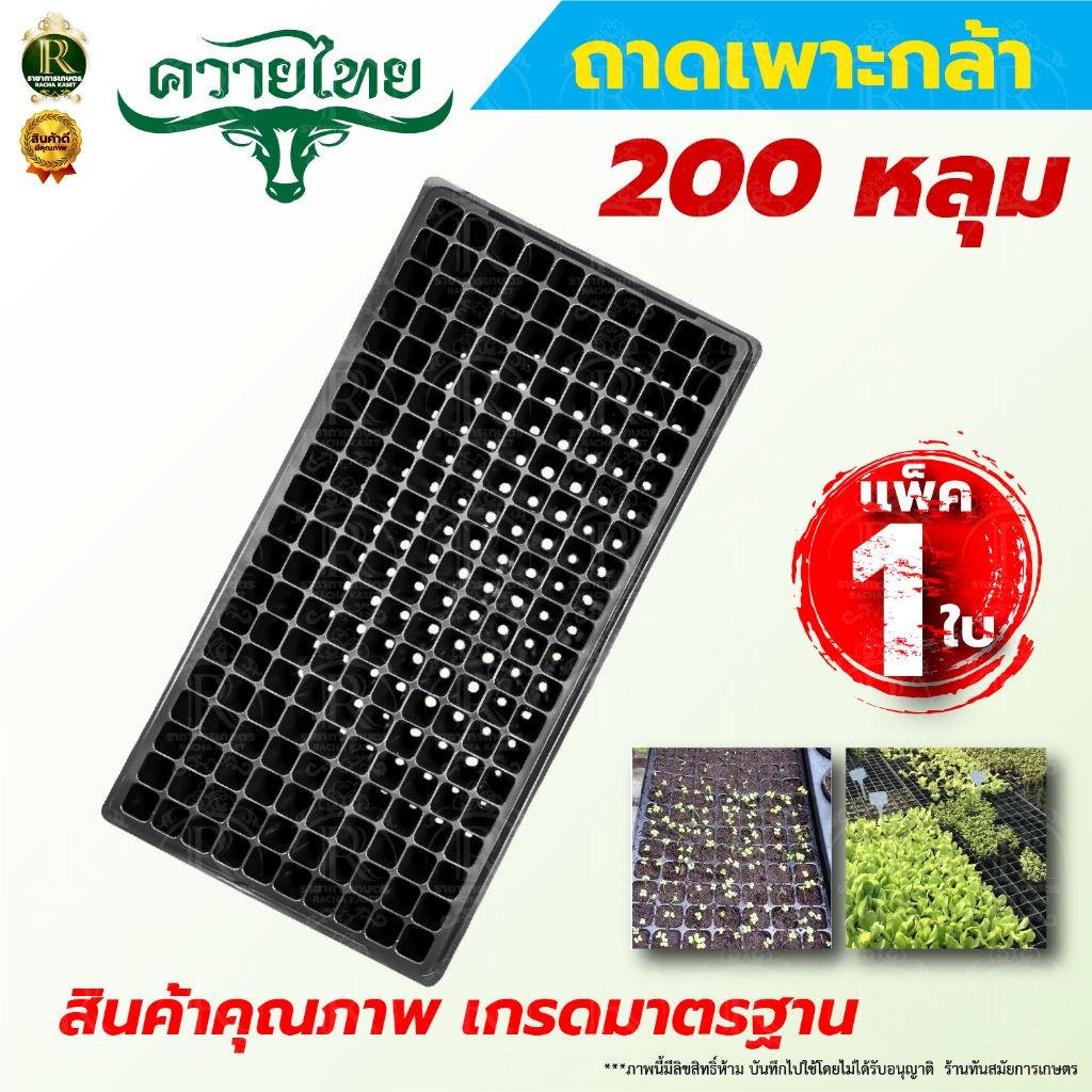 ถาดเพาะ ถาดเพาะกล้า เพาะต้นกล้า เพาะชำ 104/105/200หลุม พร้อมส่ง
