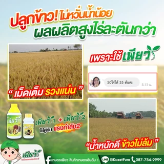 เพียว1 เพียว2 (อย่างละ 1ขวด) วัคซีนรักษาโรคพืช เร่งโต เร่งเขียว เร่งผลผลิต