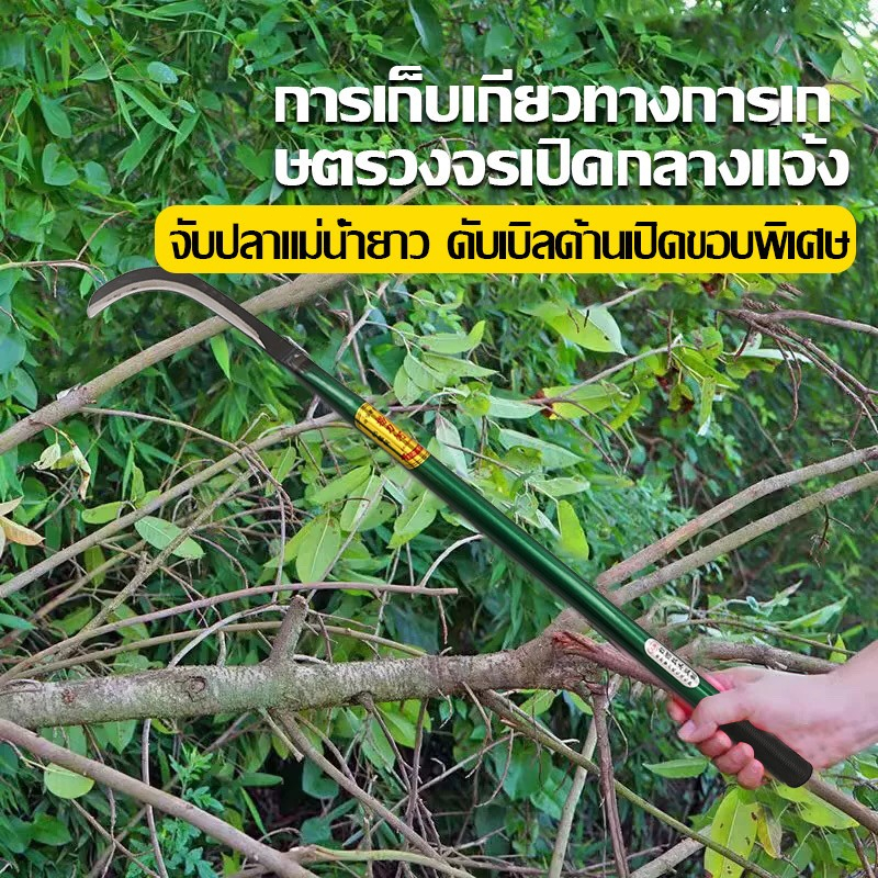 พร้อมส่ง เคียว ขนาด S/M/L เคียวเหล็กแมงกานีส เคียวเกี่ยวหญ้า เคียวเกี่ยวข้าว มีดถางหญ้า คียวตัดกิ่งไม้