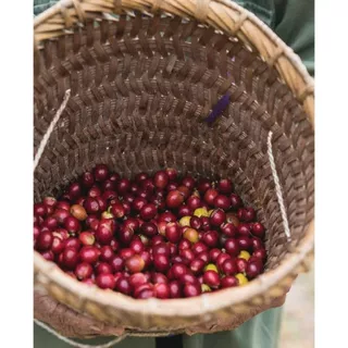 เมล็ดกาเเฟ กลิ่น Raspberry Coffee จากเชียงราย ภูชี้เดือน แบรนด์KAKE HMONG รหัสC004