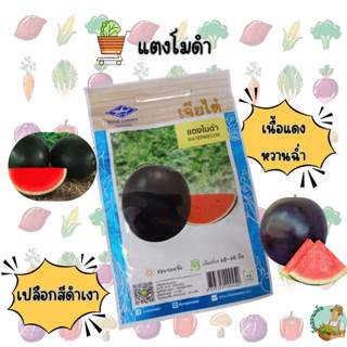 แตงโมดำ CT/OP-029 ผักซองเจียไต๋ แตงโม เมล็ดพันธุ์ผักสวนครัว …