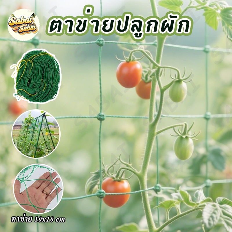 ตาข่ายสำหรับพืชไม้เลื้อย ตาข่ายไม้เลือย ตาข่ายปลูกผัก ตาข่ายบวบ ตาข่ายแตงกวา ตาข่ายไม้เลื้อย ทนทาน