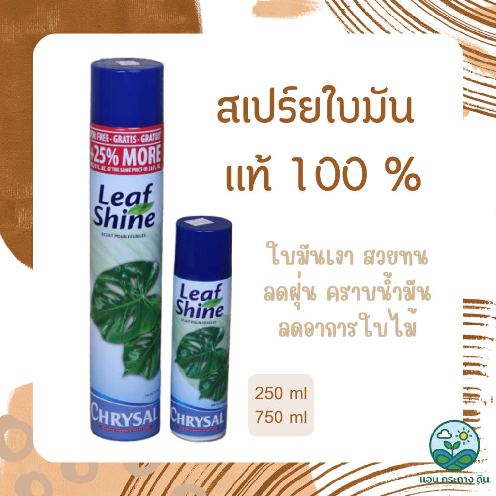 ‼️พร้อมส่งขวดใหญ่‼️สเปรย์ฉีดใบมัน เคลือบเงา Chrysal Leaf Shine ใบสวยงาม ไม้ใบ ไม้ประดับ เงางาม ไม้มงคล