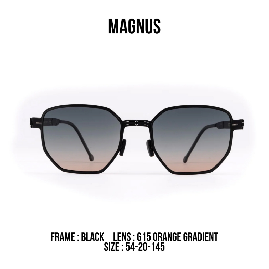 ROAV نظارة شمسية قابلة للطي MAGNUS مستقطبة — صورة 2