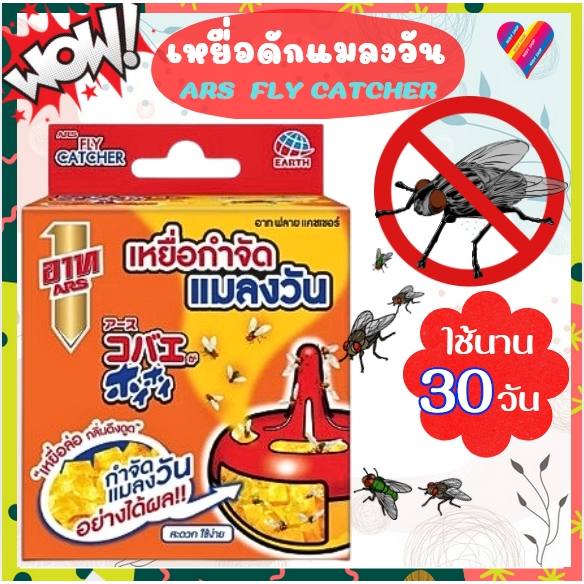 ส่งด่วน🎯  อาท ฟลาย แคชเชอร์ เหยื่อดักแมลงวัน ARS FLY CATCHER เหยื่อแมลงวัน เหยื่อจำกัดแมลงวัน