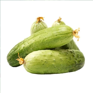 เมล็ดพันธุ์ แตงกวา เทนเดอร์กรีน Tender Green Cucumber Seed 50 เมล็ด ของแท้ เมล็ดพันธุ์พืช ผักสวนครัว เมล็ดพันธุ์ผัก