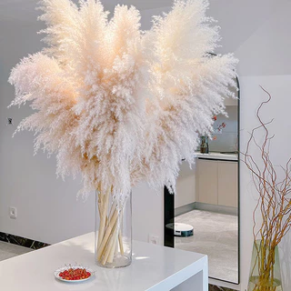 ✨ 100cm แห้งพืชกกขนาดใหญ่ INS ลมดอกไม้จริงห้องนั่งเล่นห้องนอนห้องโถงตกแต่งโดยไม่ต้องดูแล