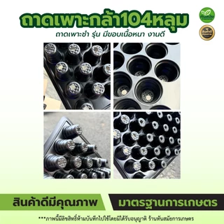 ถาดเพาะกล้า 104หลุม (แพ็ค5ใบ) ถาดเพาะเมล็ดกะท่อม เพาะเมล็ดกะท่อม ถาดพลาสติก ถาดเพาะต้นอ่อน
