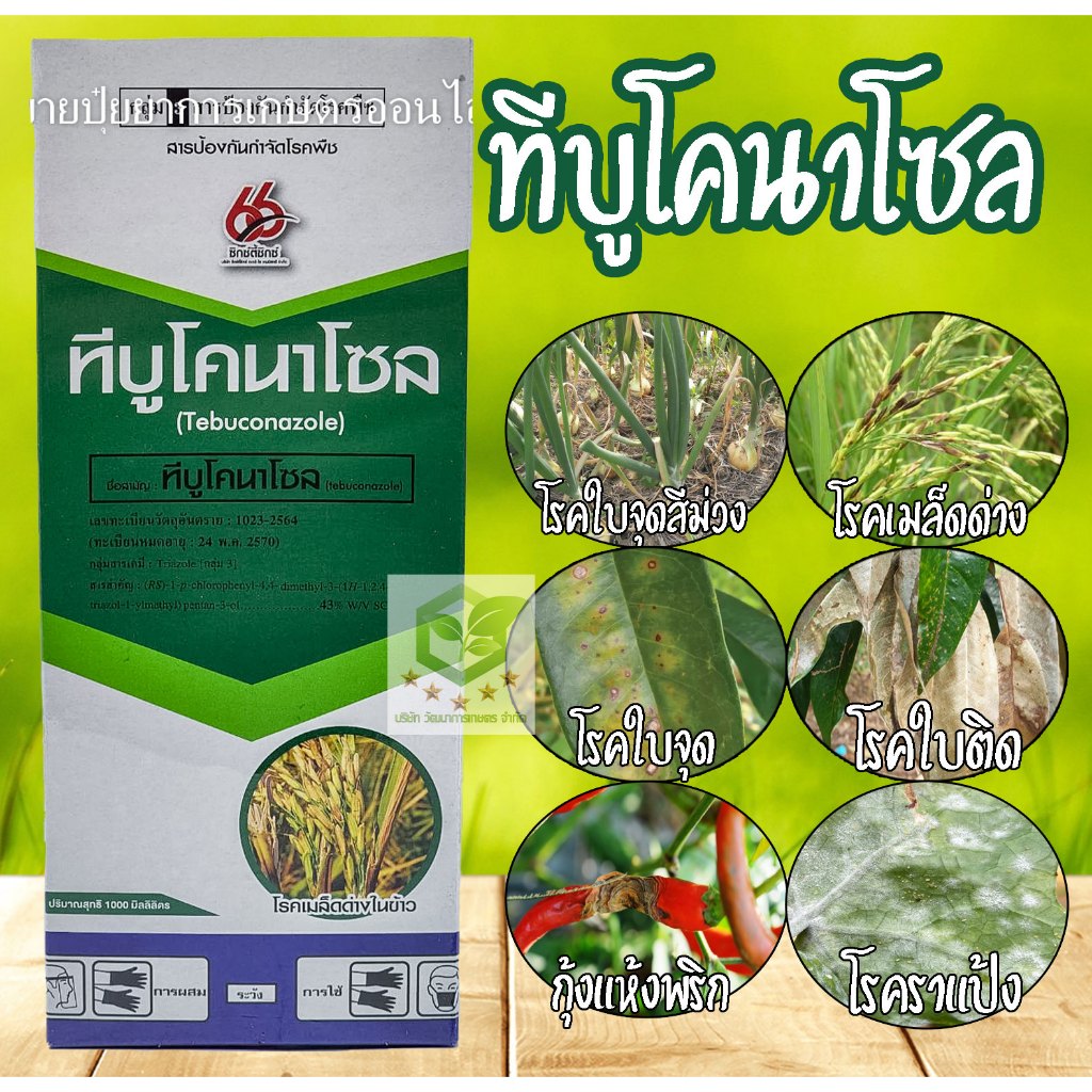 ทีบูโคนาโซล 43% 1 ลิตร  ป้องกันโรคใบจุดสีม่วง ของหอม กระเทียม และโรคเมล็ดด่างของข้าว โรคใบจุด โรคใบติด โรคใบขีดสีน้ำตาล