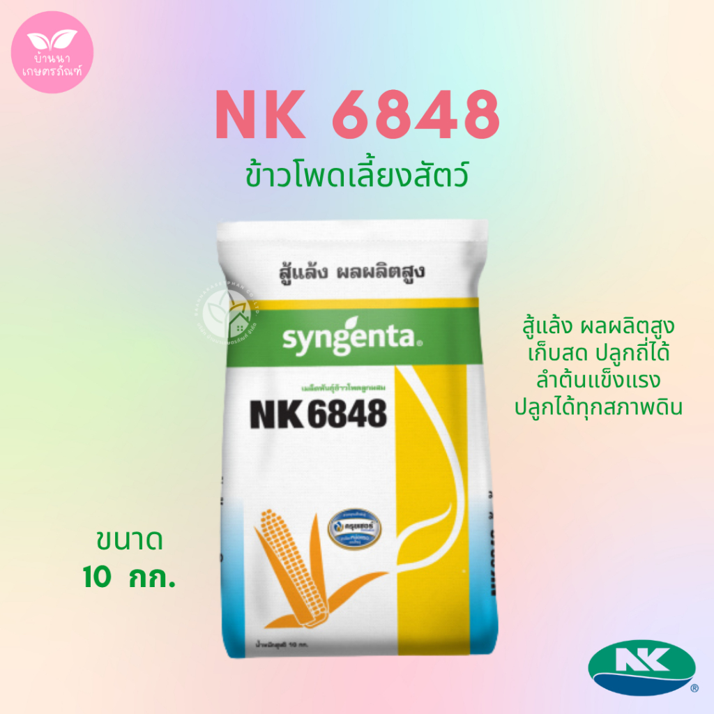 เมล็ดพันธุ์ข้าวโพด NK6848 (ขนาด 10 กก.) สู้แล้ง ปลูกถี่ เก็บสดได้ ผลผลิตสูง