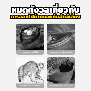 กระเป๋าแมวและสัตว์เลี้ยง แบบสะพายไหล่ ทำจากผ้าแคนวาส ทนทาน ระบายอากาศได้ดี สำหรับสุนัขและแมว กระเป๋าเป้แมว กระเป๋าโท้ทแม
