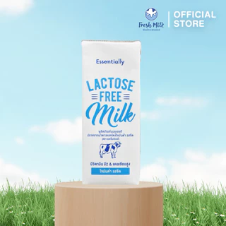 [24 กล่อง/ลัง] Essentially Lactose Free Milk Low Fat นม UHT ปราศจากน้ำตาลแลคโตส ไขมันต่ำ นมกล่อง แลคโตสฟรี นมโคแท้ 180มล