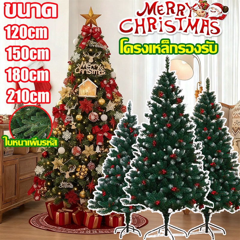 🎄หนาแน่นที่สุด หหรา🎄 ต้นคริสต์มาสลูกสนผลเบอร์รี่สีแดง ขนาด ใหญ่120/150/180/210cm ฐานที่มั่นคงมาก บ้าน ตกแต่งร้าน Christm