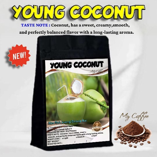 เมล็ดกาแฟเกรดA กาแฟแม่ฟ้าหลวง อาราบีก้า 144 YOUNG COCONUT กาแฟสูตรพิเศษ เมล็ดกาแฟเกรดA Arabica100%