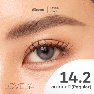 คอนเเทคเลนส์ สีเทา 14.2 ขนาดปกติ รายเดือน รุ่น baloolens so …
