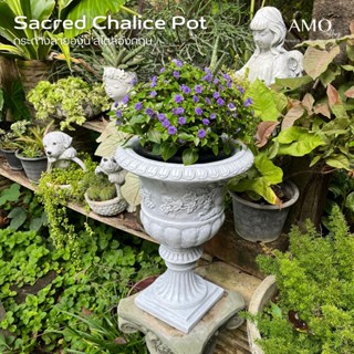 AMO GALLERY | กระถางต้นไม้ลายองุ่นไตล์อังกฤษ กระถาง กระถางหร…