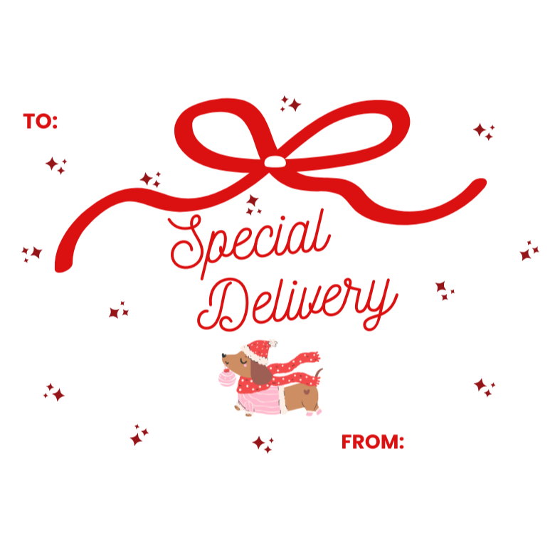 SPECIAL DELIVERY sticker card 6.6x4.6cm
