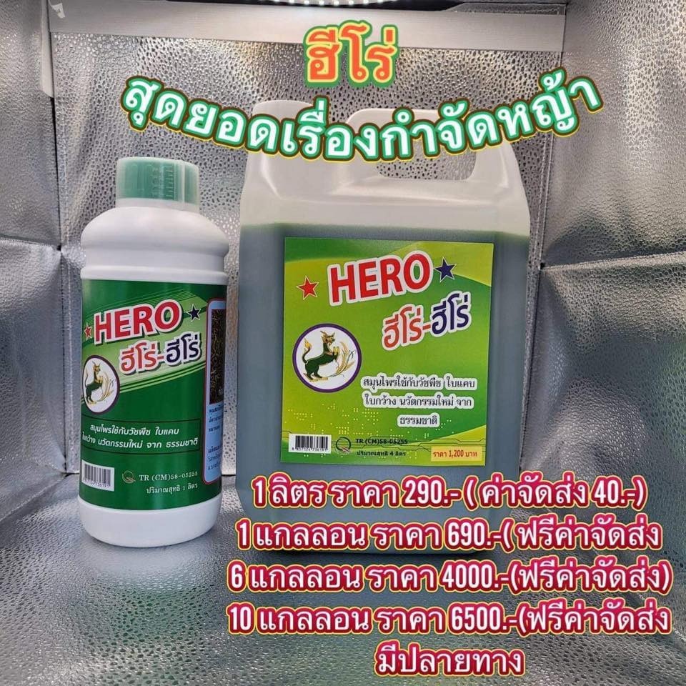 💥ฮีโร่-ฮีโร่ HERO สูตรพิเศษ ขนาด 4 ลิตร ชุดใหญ่กำจัดหญ้าครบวงจร ใช้ง่าย ปลอดภัยทุกครอบครัว