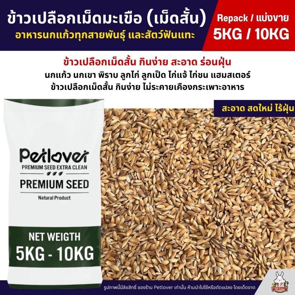 (5KG/10KG) ข้าวเปลือกเม็ดมะเขือ เม็ดสั้น อาหารนกแก้วทุกสายพันธุ์ หนูแฮมสเตอร์ ไก่ชน ไก่แจ้