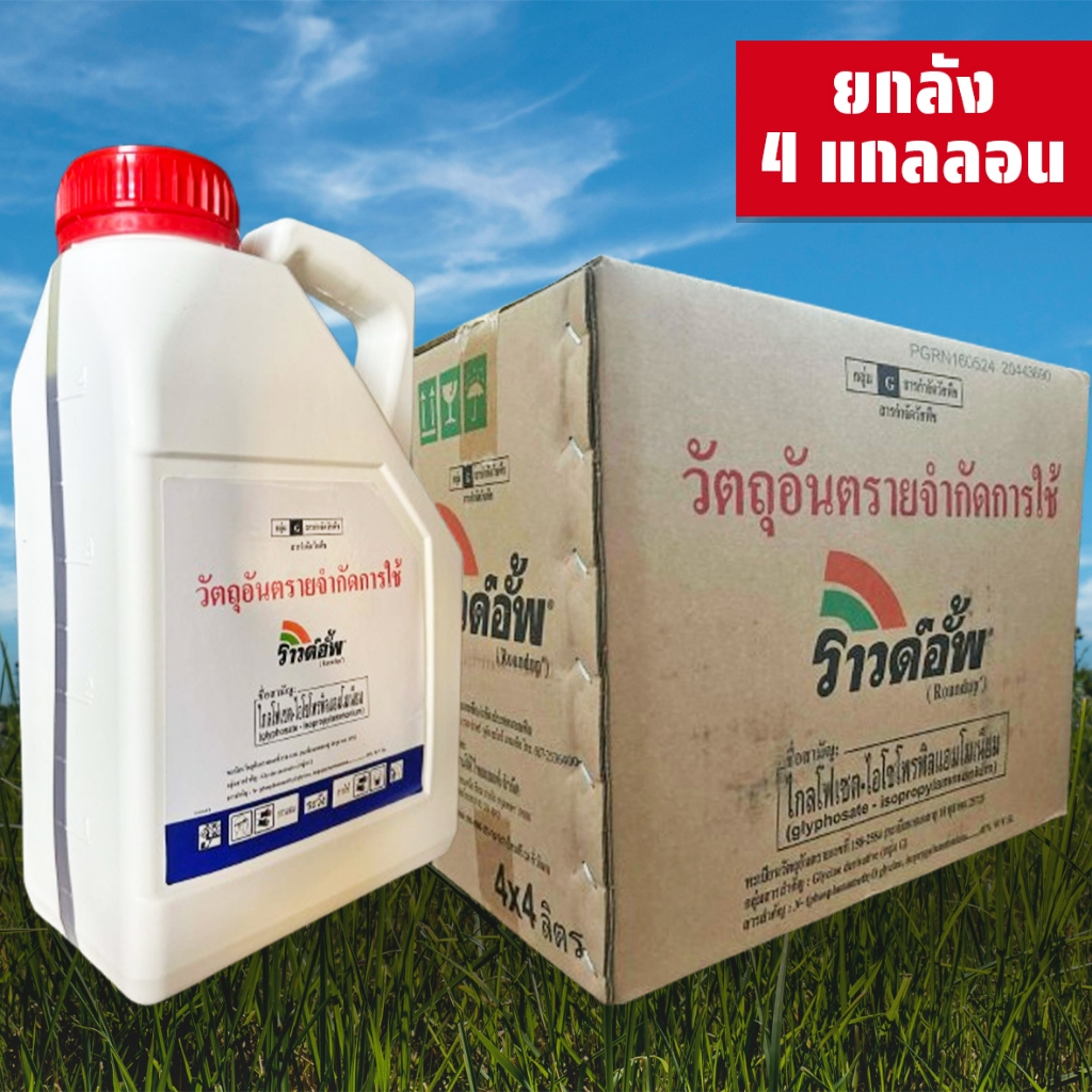 ยกลัง 4 แกลลอน ราวด์อั้พ 4 ลิตร ของแท้แน่นอน ประสิทธิภาพสูงที่สุด ส่งเร็ว มีเก็บปลายทาง