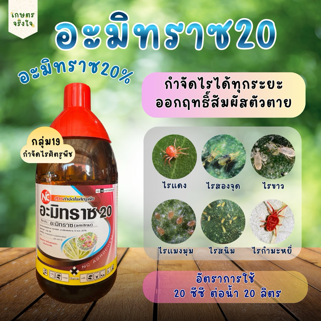 อะมิทราซ20 ป้องกันและกำจัดไรได้ทุกระยะ ขนาด 1 ลิตร ไรแดง ไรแมงมุม ไรขาว ไรสนิม ไรสองจุด ไรกำมะหยี่