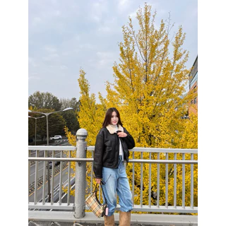 WINT - CANELE JACKET🍂 | แจ็คเก็ตกันหนาว บุขนทั้งตัว พร้อมส่ง!