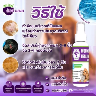 AEXHUQ สเปรย์นาโน พ่นแผลสุนัข-แมว ฟื้นฟูเร็ว สำหรับสัตว์เลี้ยง 100 ml.