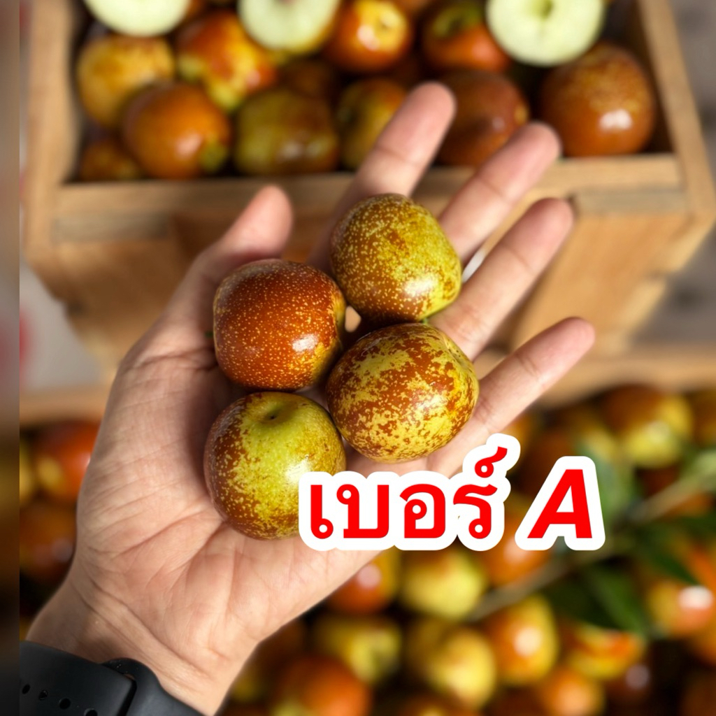 พุทราช็อกโกแลต ไซส์A หวาน กรอบ (น้ำหนักรวมกล่อง)