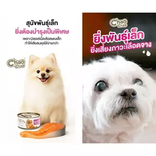 [Dog] [ส่งฟรี+แถม2กป] ChooChoo ชูชู สมูทตี้บำรุงเลือด สูตรปลาแซลมอน สำหรับสุนัข 24 กระป๋อง(80gx24กป)