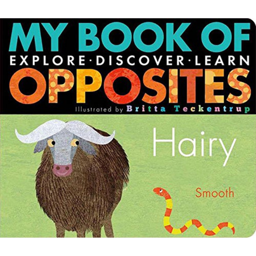 หนังสือ My Book of Opposites : Explore, Discover, Learn Board Books  หนังสือ ภาษาอังกฤษ ปกแข็ง Board