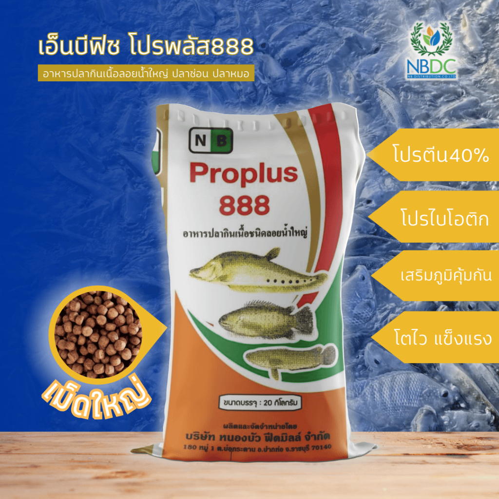 NB Fish Proplus เอ็นบีโปรพลัส 888L โปรตีน40% สูตรอาหารปลากินเนื้อ อาหารปลาช่อน ปลาหมอ เม็ดใหญ่ NBDC