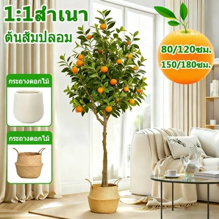🍊ด้วยผล🍊 ต้นส้มประดิษฐ์ ต้นไม้ปลอม ก้านหนา ไม่ต้องบำรุงรักษา ต้นไม้ปลอมใหญ่ 80/120/150/180CM ความจำลอง99%