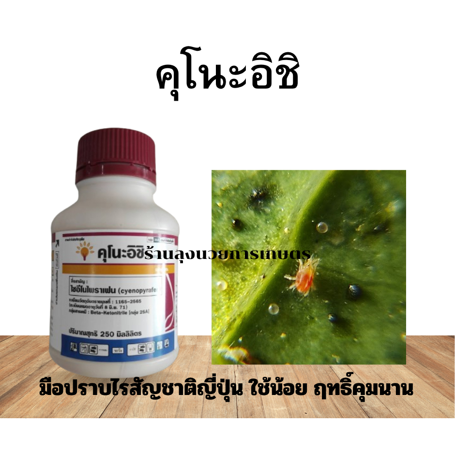 คุโนะอิชิ 250ซีซี  สารโซอีโนไพราเฟน สูตรเย็น มือปราบไรศัตรูพืชคุณภาพสูงจากญี่ปุ่น  ใช้น้อย ปลอดภัยต่อพืช คุมไรได้นาน