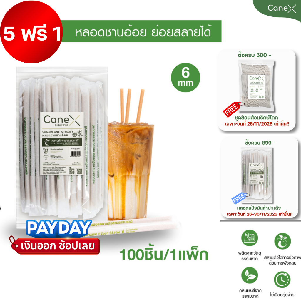 (600 ชิ้น) CaneX หลอดชานอ้อย ย่อยสลายได้ 100% (100ชิ้น/แพ็ก) ขนาด 6 x 210 มม. ตัดตรง ห่อกระดาษ หลอดไบโอ หลอดรักษ์โลก