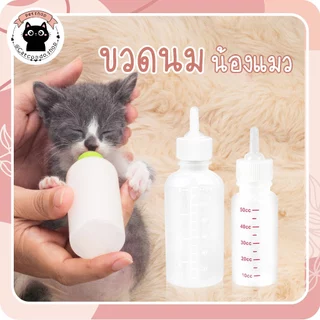 🌵 ขวดนม ขวดนมสำหรับลูกแมวและสัตว์เลี้ยง ขวดป้อนนมซิลิโคน ขวดนมแมว 🌵