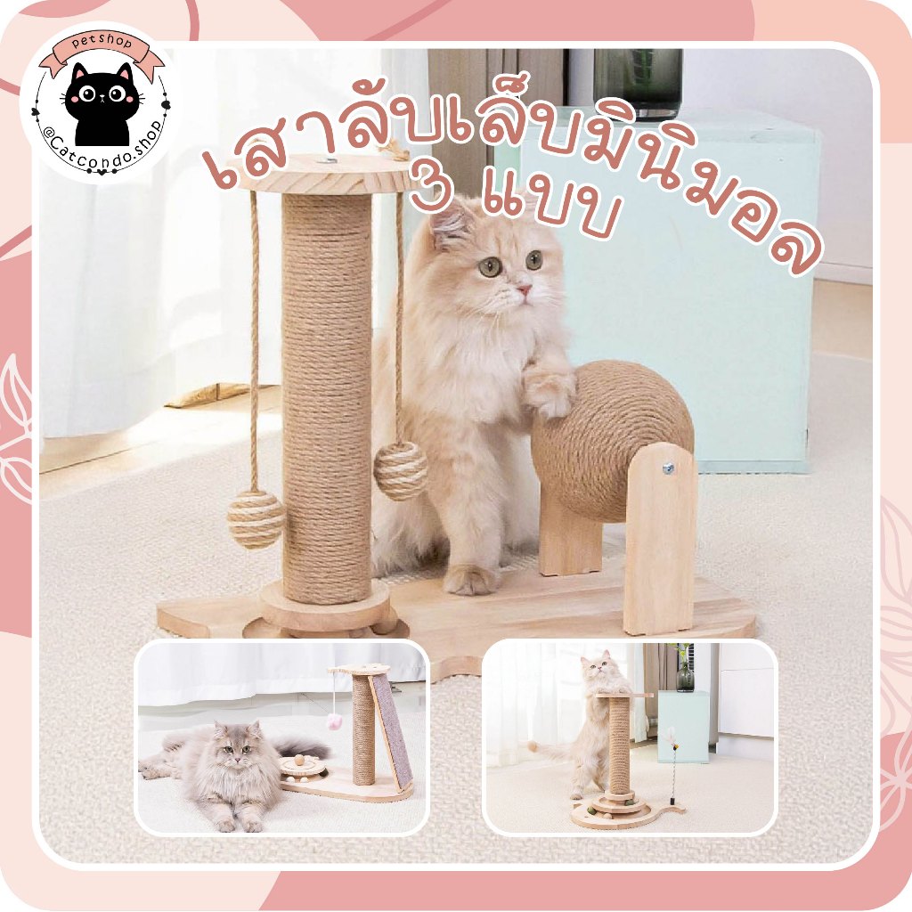 🌵 เสาลับเล็บวาฬ เสาลับเล็บแมว ที่ลับเล็บแมว รางบอลแมว ลูกบอลแมว แผ่นลับเล็บแมว พร้อมรางบอล เสาลับเล็บปลาวาฬ 🌵