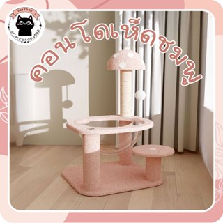 🌵 หลุมอวกาศแมว เห็ดชมพู ที่นอนแมว แคปซูลอวกาศสบาย ขนาดใหญ่​ …