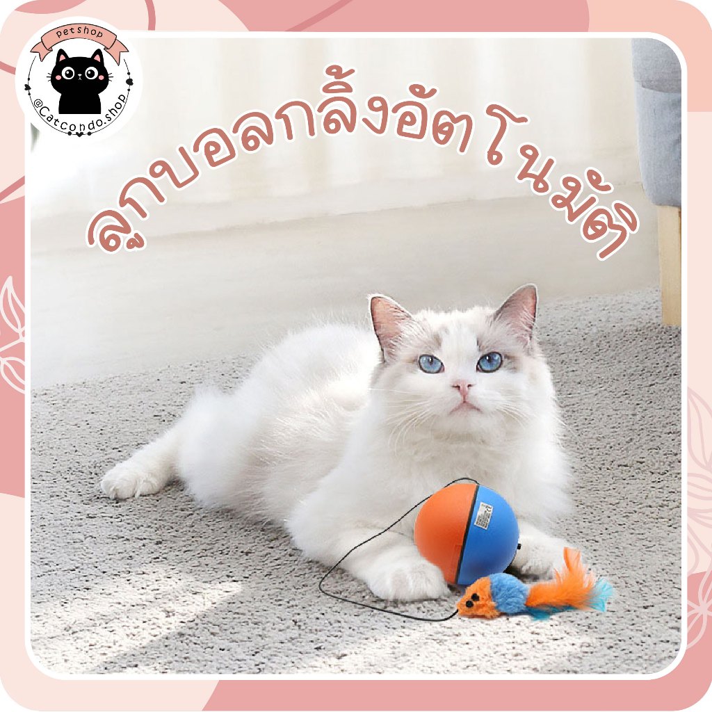 🌵 🐾บอลกลิ้งไฟฟ้า(แบบหนู)  ลูกบอลแมวอัตโนมัติ เสริมหนูขนนุ่ม ของเล่นแมววิ่งหนี ลูกบอลไฟฟ้า ลูกบอลแมว ของเล่นแมว🐾 🌵