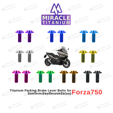 Honda Forza750 Titanium Parking Brake Lever Bolts น็อตไทเทเนียมดึงเบรคมือ(บน)