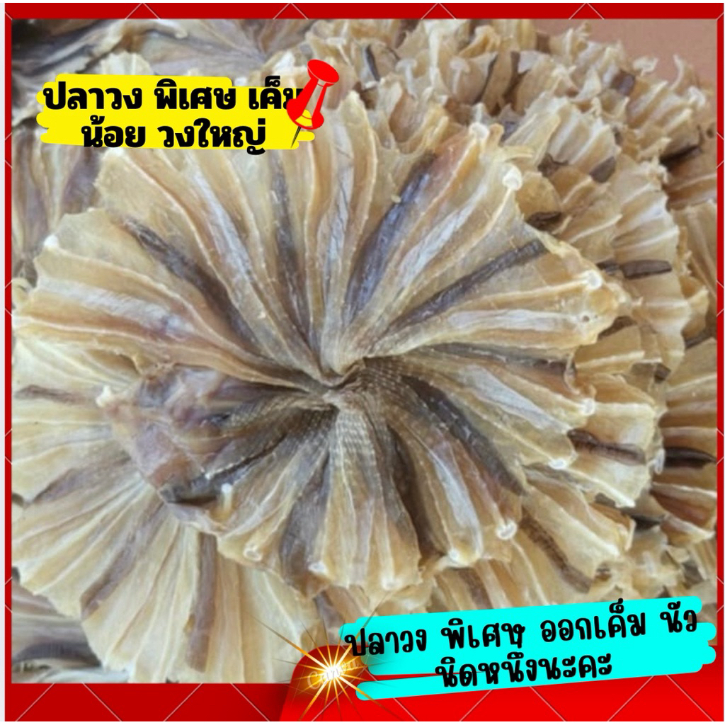 ปลากระเบนวง ตากแห้ง พิเศษ ขนาด 500 กรัม เค็มน้อย นัว มัน ไม่เค็มมาก กำลังพอดีกินนะคะ