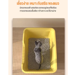 กระบะทรายแมวขนาดใหญ่ รั้วสูงมากๆ ป้องกันทรายกระเด็น ห้องน้ำแมว ห้องน้ำแมวใหญ่ กระบะทราย ส้วมแมว ห้องน้ำแมวขนาดใหญ่