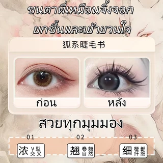 ขนตาปลอม แบบไม่ใช้กาว ขนตาปลอมแบบแบ่งส่วน แบบฟ็อกซ์ แบบลูกสุนัข แบบธรรมชาติ แบบถ่ายรูปสวย มีหลายแบบให้เลือก